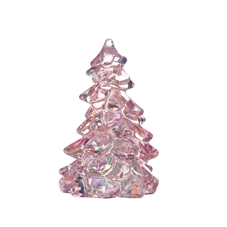 5.5 Tree Rose Carnival