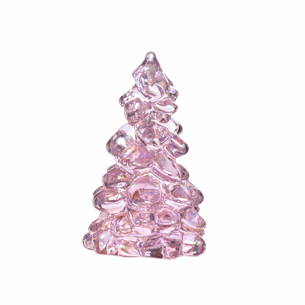 2.75 Tree Rose Carnival